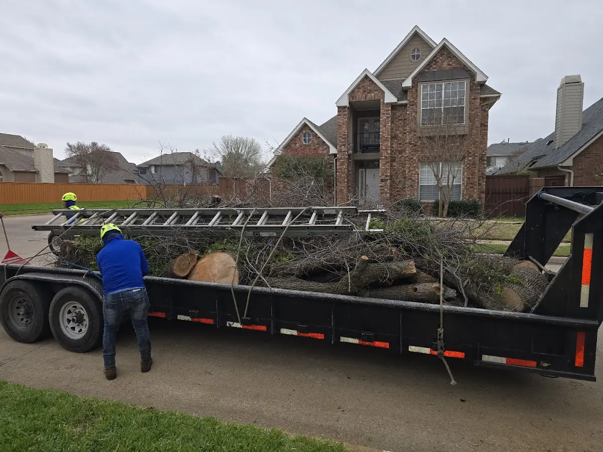 Expert Lot Clearing with proper safety equipment in Maysville